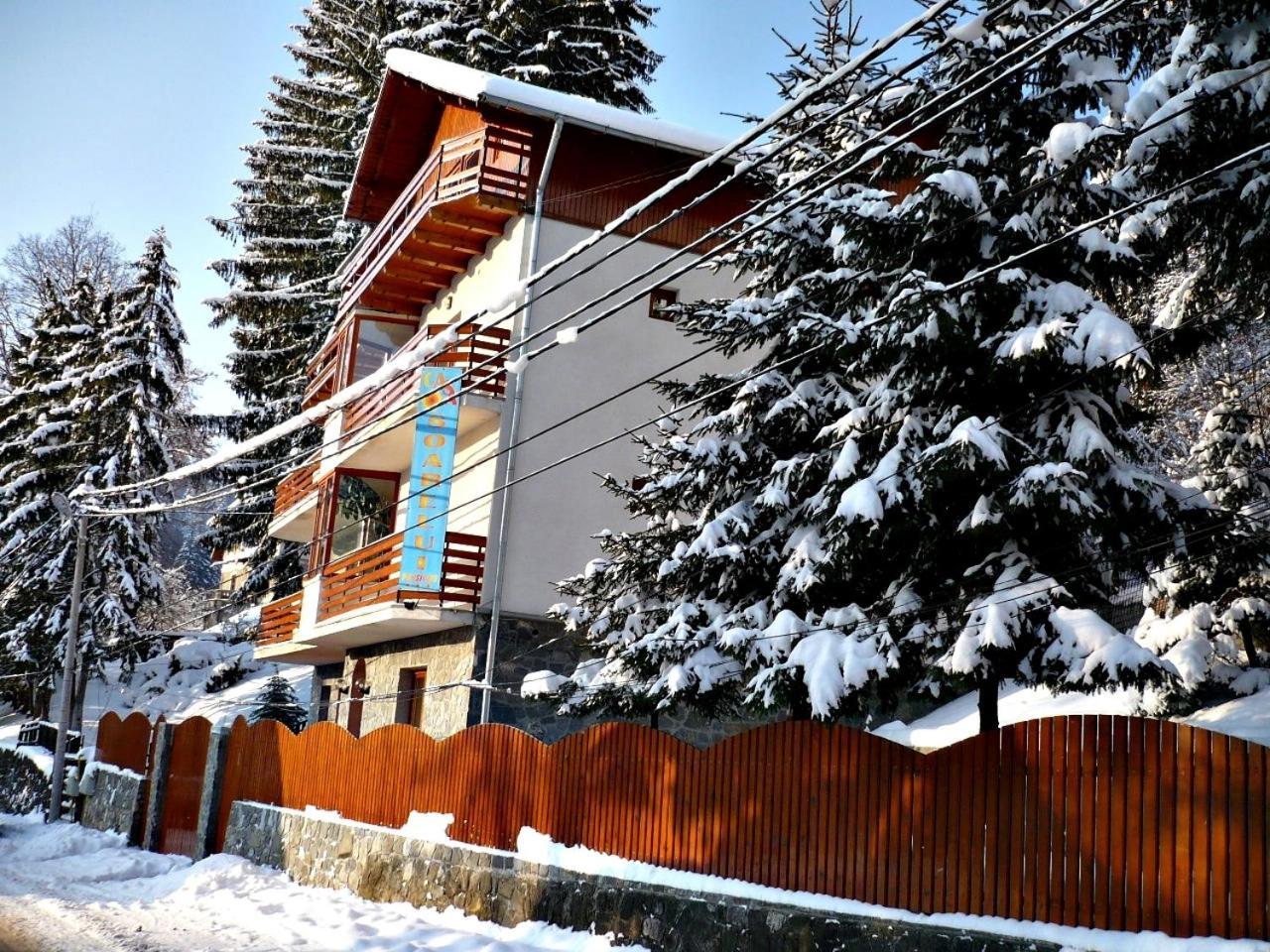 Pension Casa Soarelui Sinaia Esterno foto